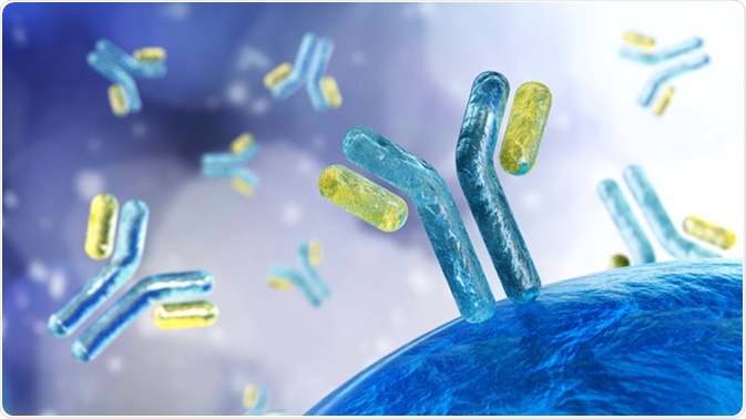 Antibodies, 3D rendering - Illustration Credit: ustas7777777 / Shutterstock