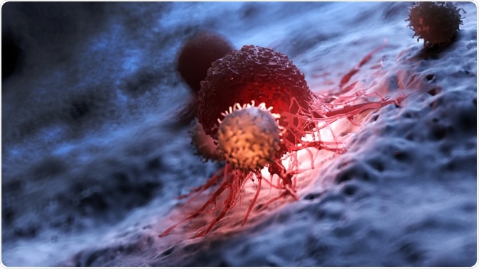 White blood cells attacking a cancer cell. Image Credit: Sebastian Kaulitzki / Shutterstock
