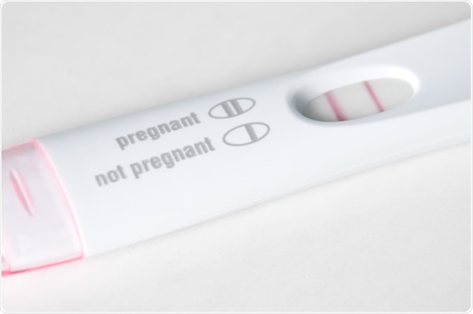 Pregnancy test. Image Credit: Paul Velgos / Shutterstock