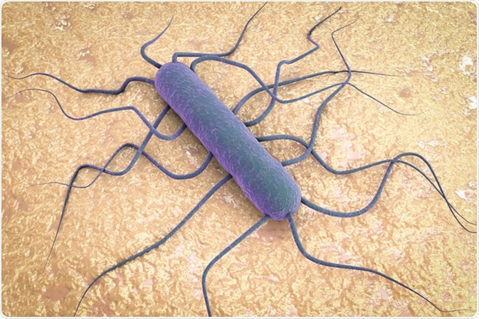 3D illustration of bacterium Listeria monocytogenes, gram-positive bacterium with flagella which causes listeriosis - Illustration Credit: Kateryna Kon / Shutterstock