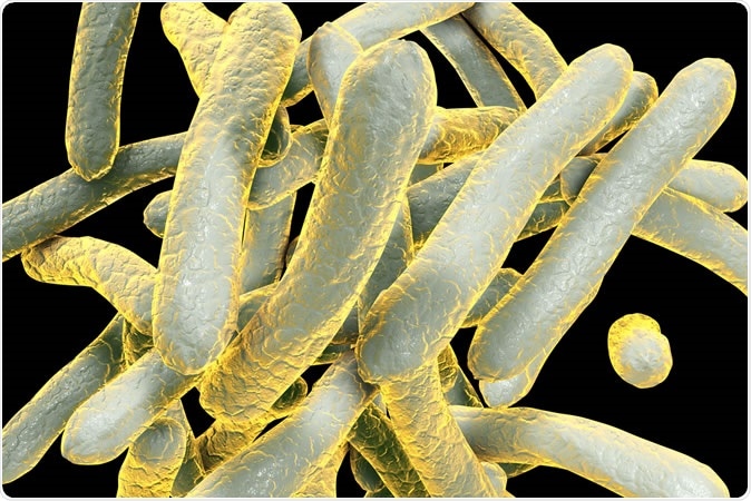 3D illustration of bacterium Mycobacterium tuberculosis. Image Credit: Kateryna Kon / Shutterstock