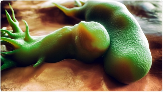 Campylobacter jejuni bacteria, 3D Rendering - Illustration Credit: Crevis / Shutterstock