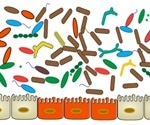 Gut microbiome and IBD – the connection maybe in diet says study