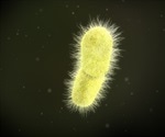 Scientists discover how resistant bacteria block entrance of antibiotics