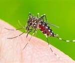 Culex mosquitoes not involved in transmission of Zika virus, study finds