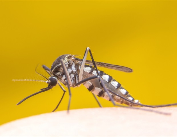 New tech solution to spot disease-transmitting mosquitoes