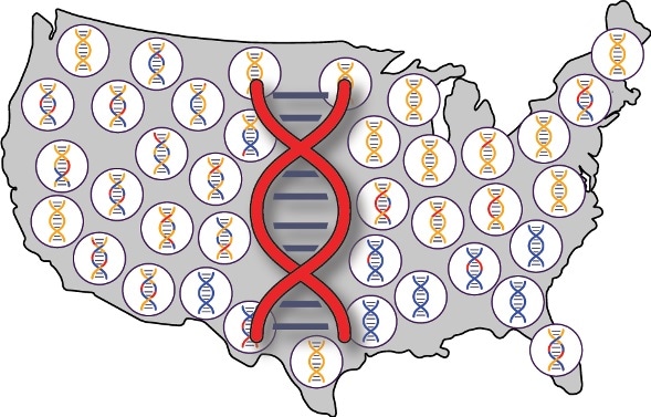 Native American DNA is still carried by descendants of early Europeans and Africans in the U.S.