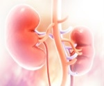 Can Probiotics Support Healthy Kidney Function?