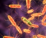 African bacterium resists almost all drugs