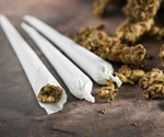 Marijuana use seven times higher among bisexual women finds study