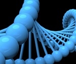Researchers uncover fundamental difference in how DNA is held together