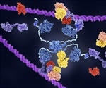 Reactivating ‘tumor suppressor’ genes could offer new therapeutic approach for cancer