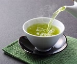 Green tea compound shows promise in tackling antibiotic resistance