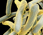 How tuberculosis progresses: genetic factors play a major role