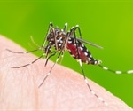 Low blood iron levels increase risk of Dengue