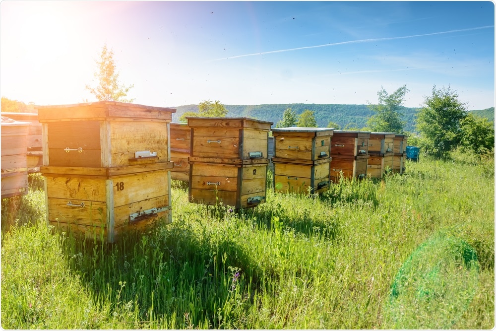 Honey hives