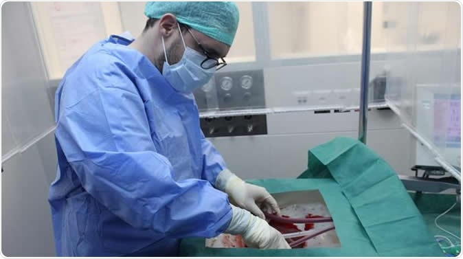 A surgeon connects the donor liver to the perfusion machine. Image Credit: USZ