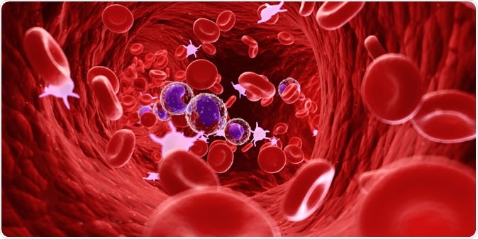 3d rendered illustration of the human blood cells and lymphocytes. Image Credit: Sebastian Kaulitzki / Shutterstock