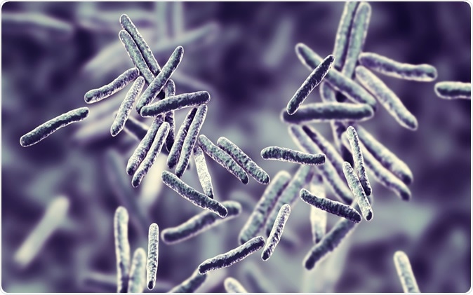 Bacteria Mycobacterium tuberculosis, the causative agent of tuberculosis, 3D illustration Credit: Kateryna Kon / Shutterstock