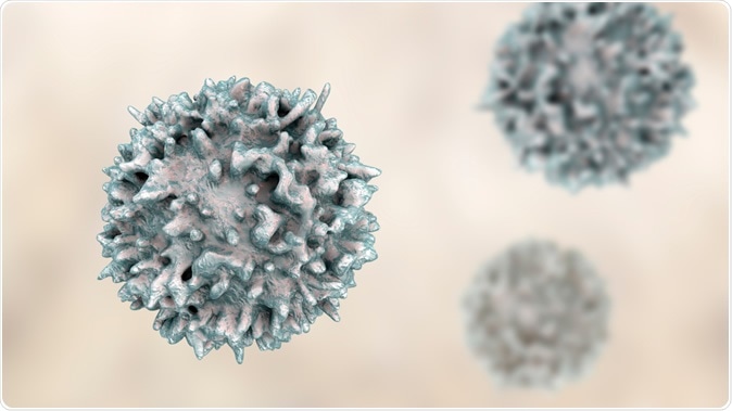 Linfocito, opinión del primer del linfocito B. ejemplo 3D. Haber de imagen: Kateryna Kon/Shutterstock