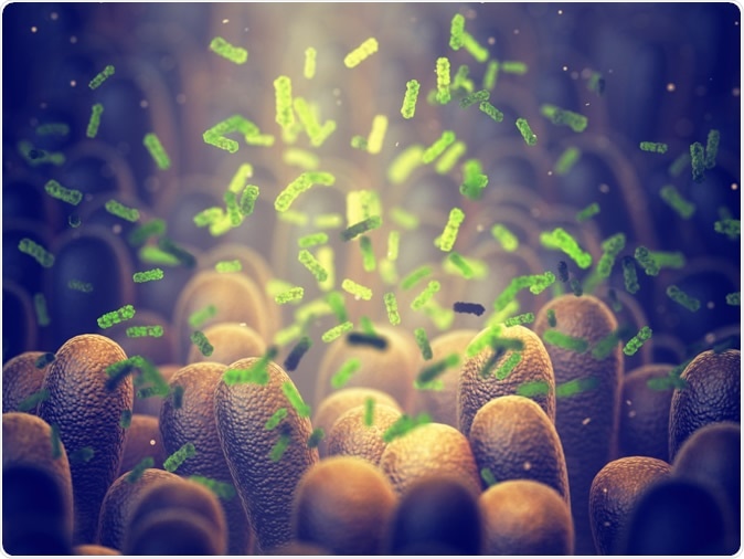 Intestinal bacteria 3d illustration Credit: nobeastsofierce / Shutterstock