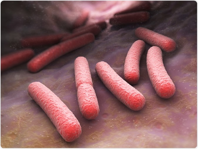Escherichia coli bacteria cells. Image Credit: Tatiana Shepeleva / Shutterstock