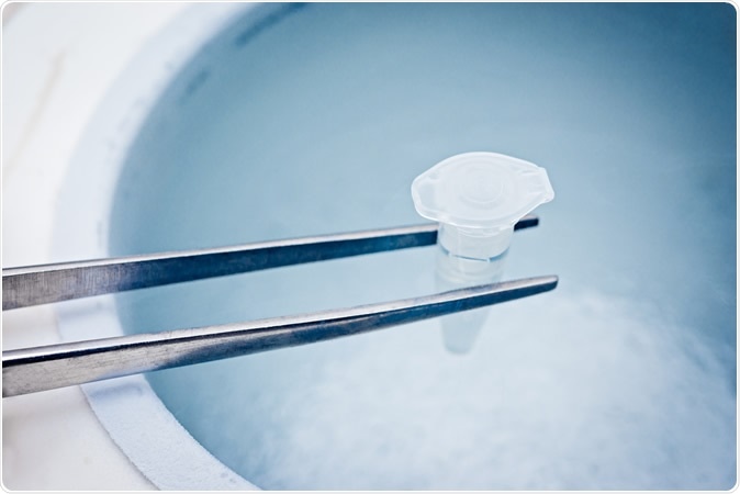 Test tube with sperm, cryopreservation in the liquid nitrogen. Image Credit: Elena Pavlovich / Shutterstock