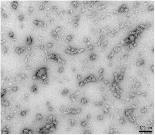 TEM of Human Recombinant Alpha Synuclein Oligomers (Dopamine HCL Stabilized) (SPR-466)