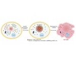 Using Protein Interaction Networks to Optimize Drug Delivery