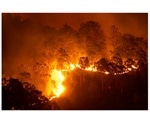 CSIRO to play role in Australia's bushfire rebuild