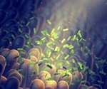 Food selectively affects gut microbes finds study