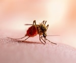 Iron overload, variant gene and malaria resistance linked in African study