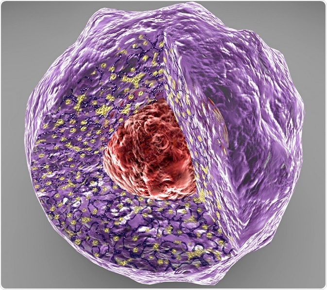 Cell showing nucleus and surrounding proteins