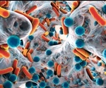 Evolution of Antibiotic Tolerance Promotes Resistance to Combination Regimens