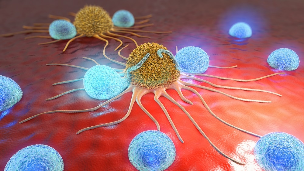 immune cells and cancer