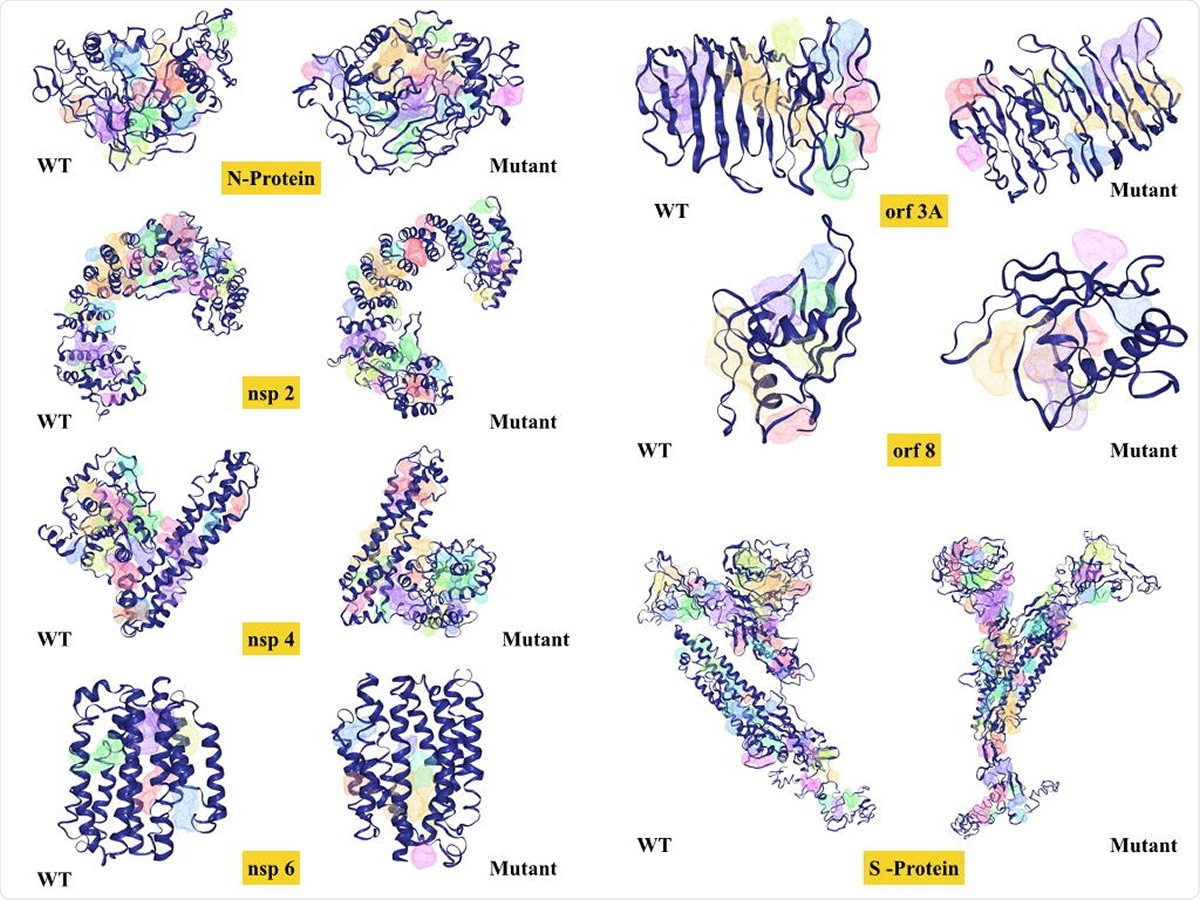 Study: Impact of clade specific mutations on structural fidelity of SARS-CoV-2 proteins.