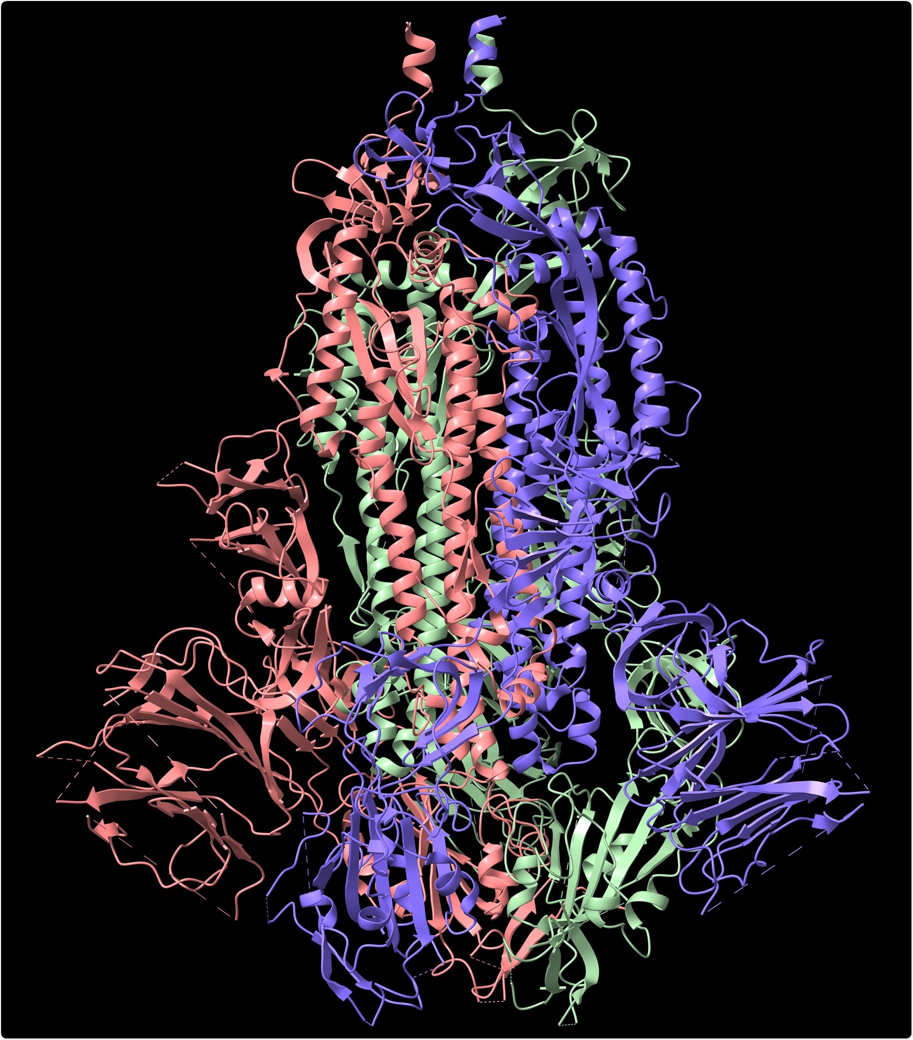 Structure of the SARS-CoV-2 spike glycoprotein, black background, 3D illustration credit: Volodymyr Dvornyk / Shutterstock