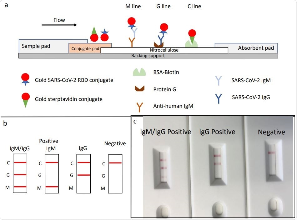 Schematic illustration of rapid SARS‐CoV‐2 IgM‐IgG combined antibody test and example of typical results. a, Schematic diagram of the detection device; b, illustration of different testing results; c, example of typical results obtained with the RDT.