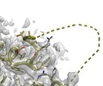 Scientists refine SARS-CoV-2 protein structures