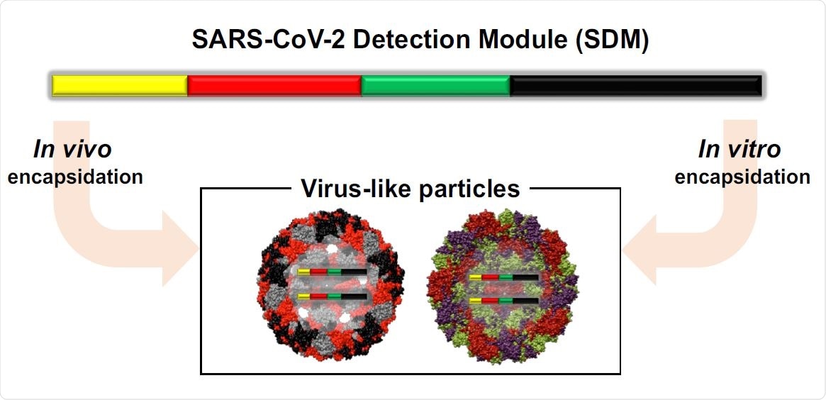 SARS-CoV-2 Detection Module (SDM)