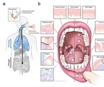 Mouth may be primary route of SARS-CoV-2 infection and transmission