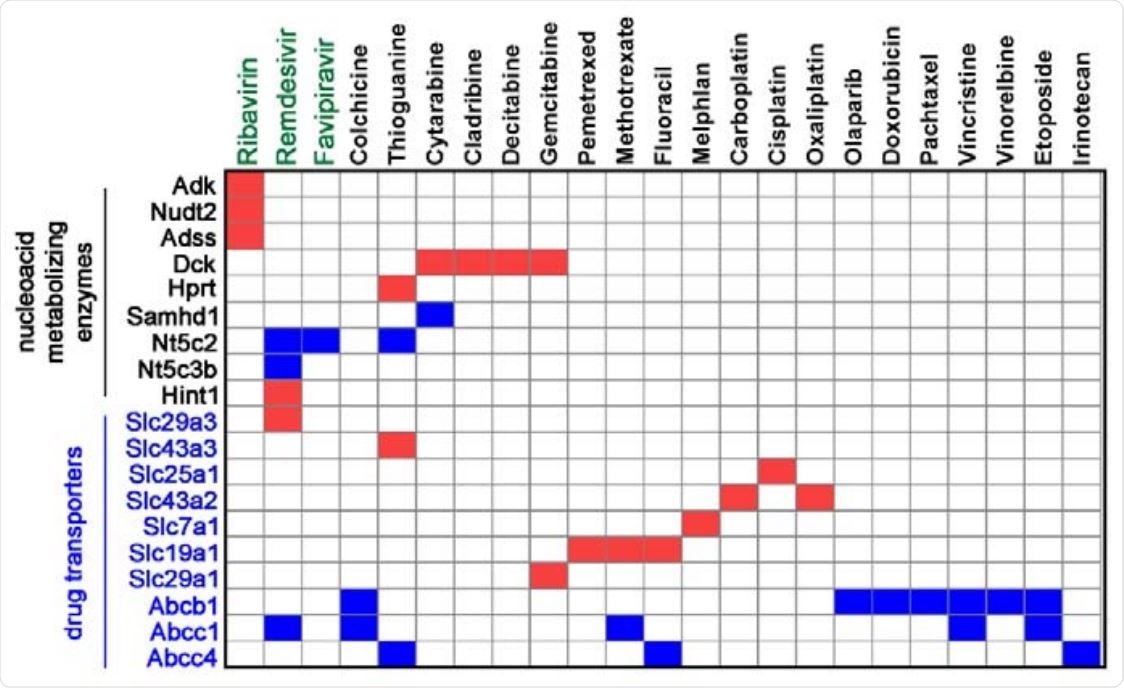 Summary and comparison of drug metabolizing enzymes and transporters identified in genome-wide CRISPR screens using our platform. Red boxes indicate enrichment of sgRNA against a gene in corresponding drug screen, whereas blue boxes indicate depletion.