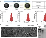 DNase coated melanin-like nanospheres for sepsis treatment in severe COVID