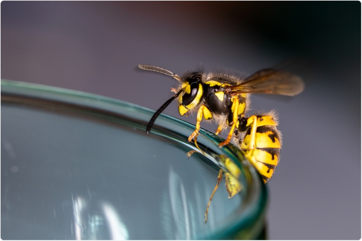 Study: Repurposing a peptide toxin from wasp venom into antiinfectives with dual antimicrobial and immunomodulatory properties. Image Credit: Jimmy R / Shutterstock
