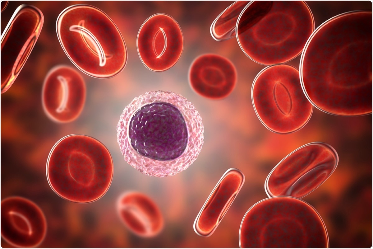 Lymphocyte surrounded by red blood cells, 3D illustration. Image Credit: Kateryna Kon / Shutterstock