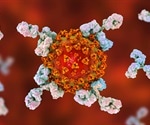 Previous infections with seasonal coronaviruses might protect against SARS-CoV-2