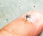 Midges and mosquitoes unlikely to spread SARS-CoV-2