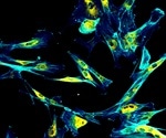An Overview of Immunofluorescence