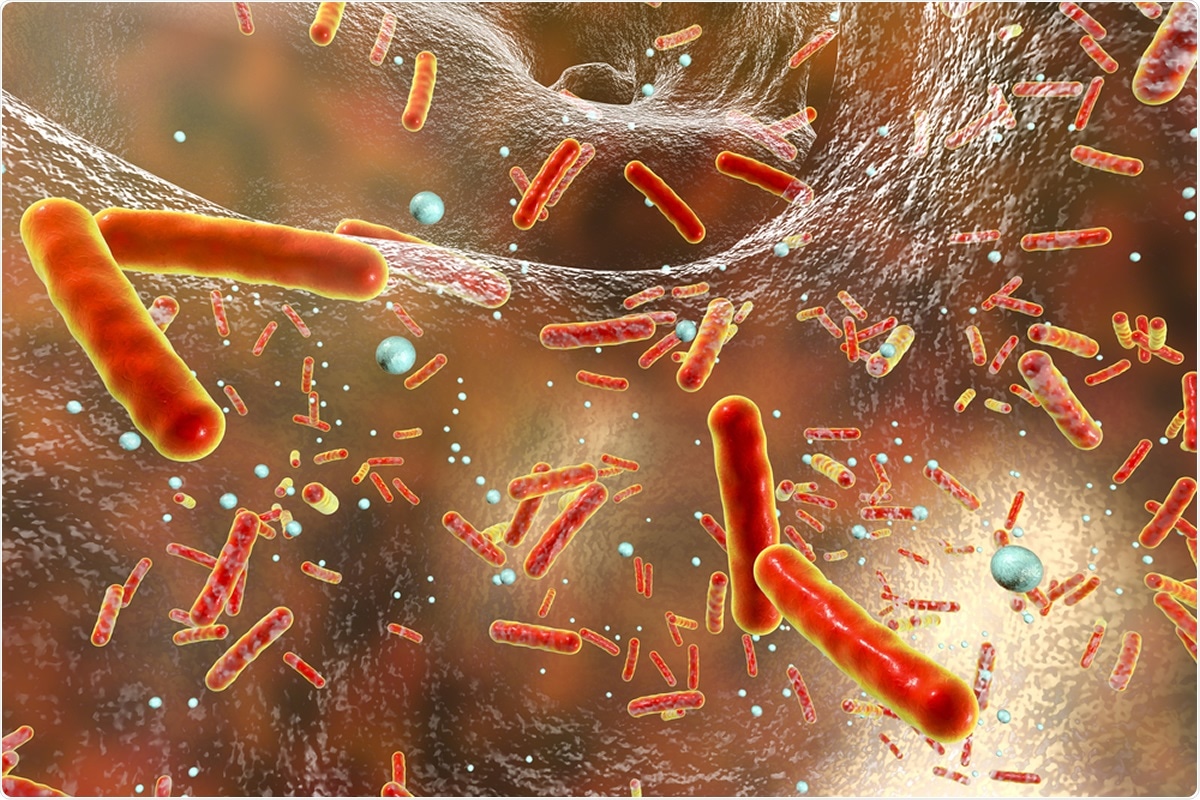 Study: Exclusion of bacterial co-infection in COVID-19 using baseline inflammatory markers and their response to antibiotics. Image Credit: Kateryna Kon / Shutterstock