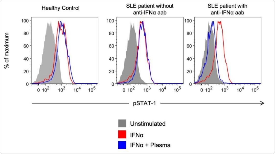 Representative example of detection of blocking anti-IFNα autoantibodies. Healthy control PBMCs were incubated with 10% plasma from healthy controls or from autoantibody- positive or negative SLE subjects with COVID-19, and then left unstimulated or stimulated with recombinant human IFNα. IFN-induced phosphorylation of STAT1 was measured by flow cytometry.